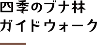 四季のブナ林ガイドウォーク