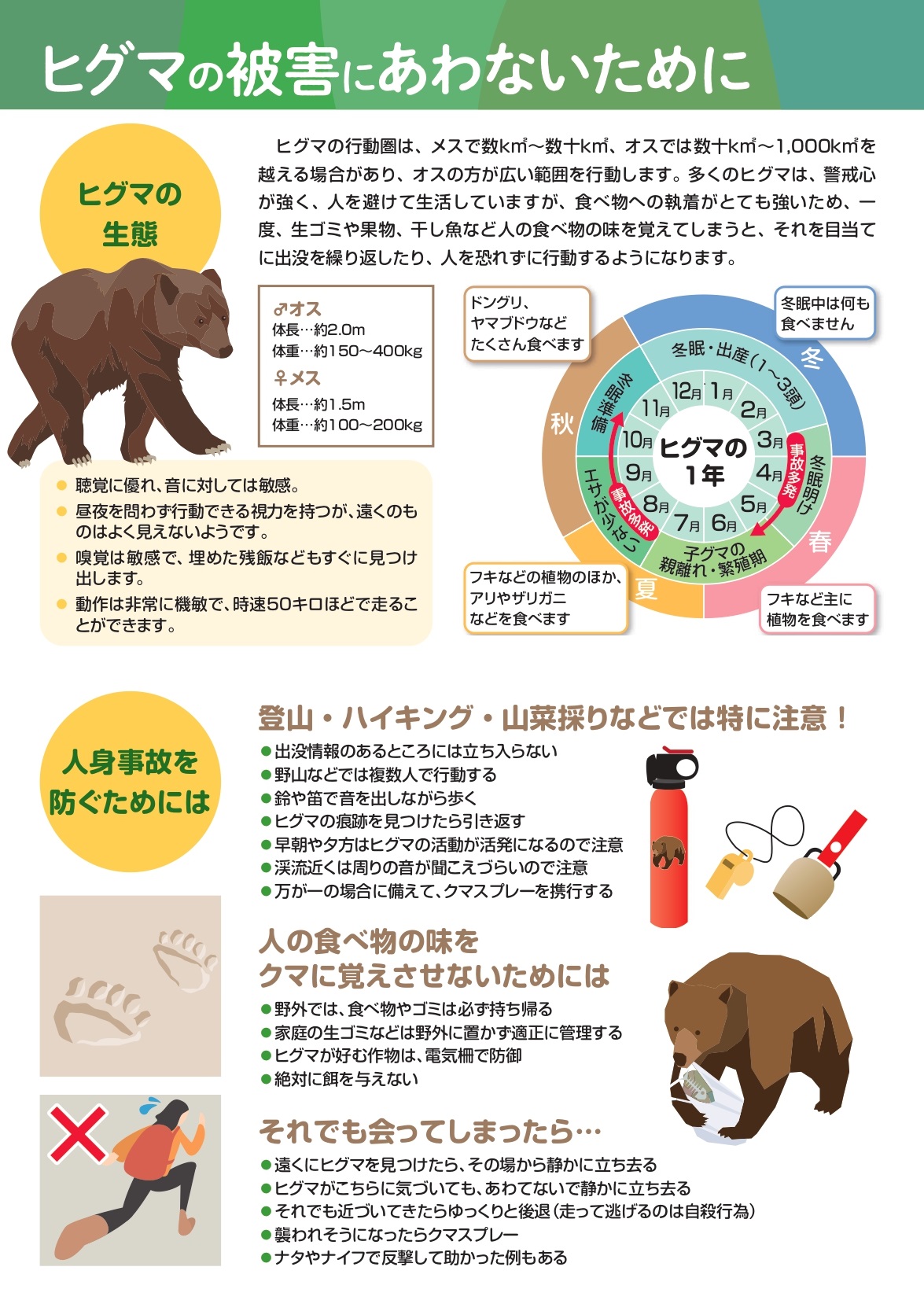ヒグマに遭わないために