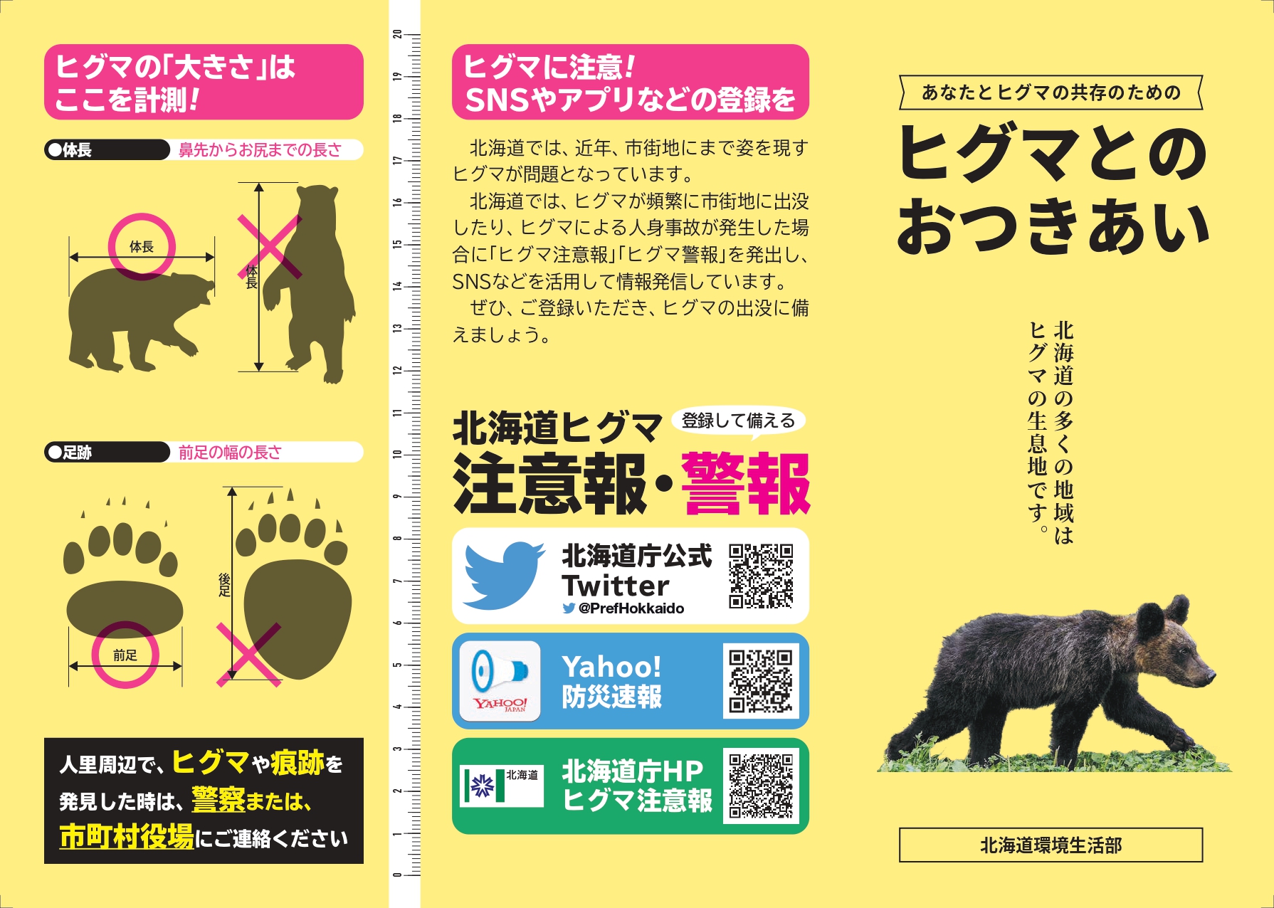 ヒグマとのおつきあい