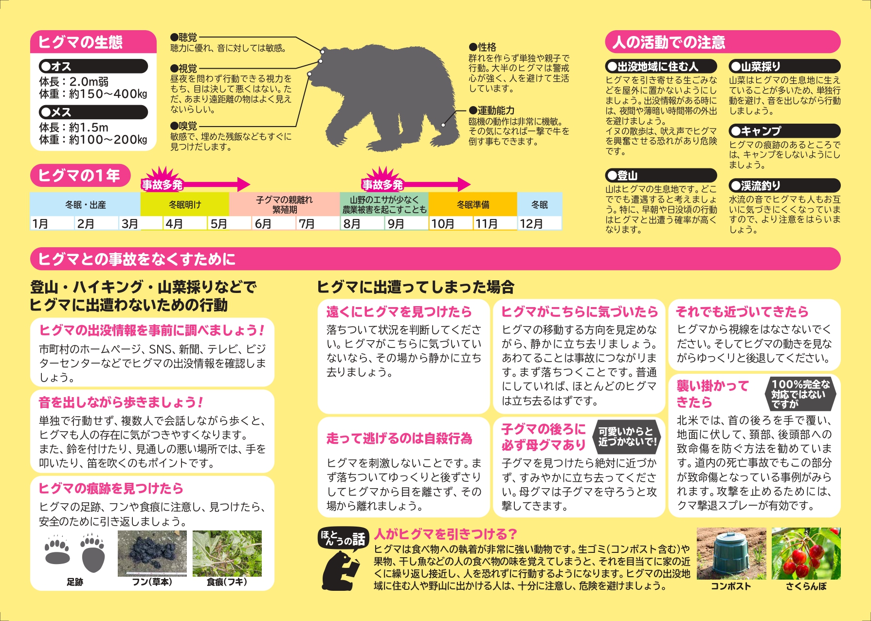 ヒグマとのおつきあい